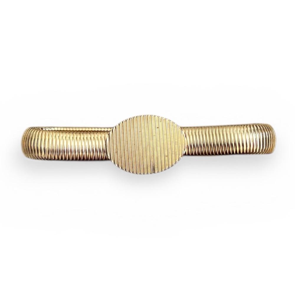 Vintage Gold Belt Oval Buckle Snake Scales Ribbed Metal
